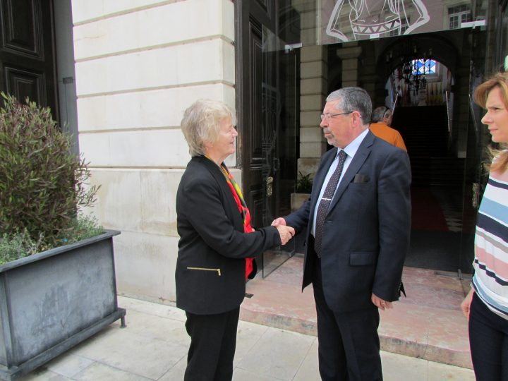 embaixadora 29 Custom